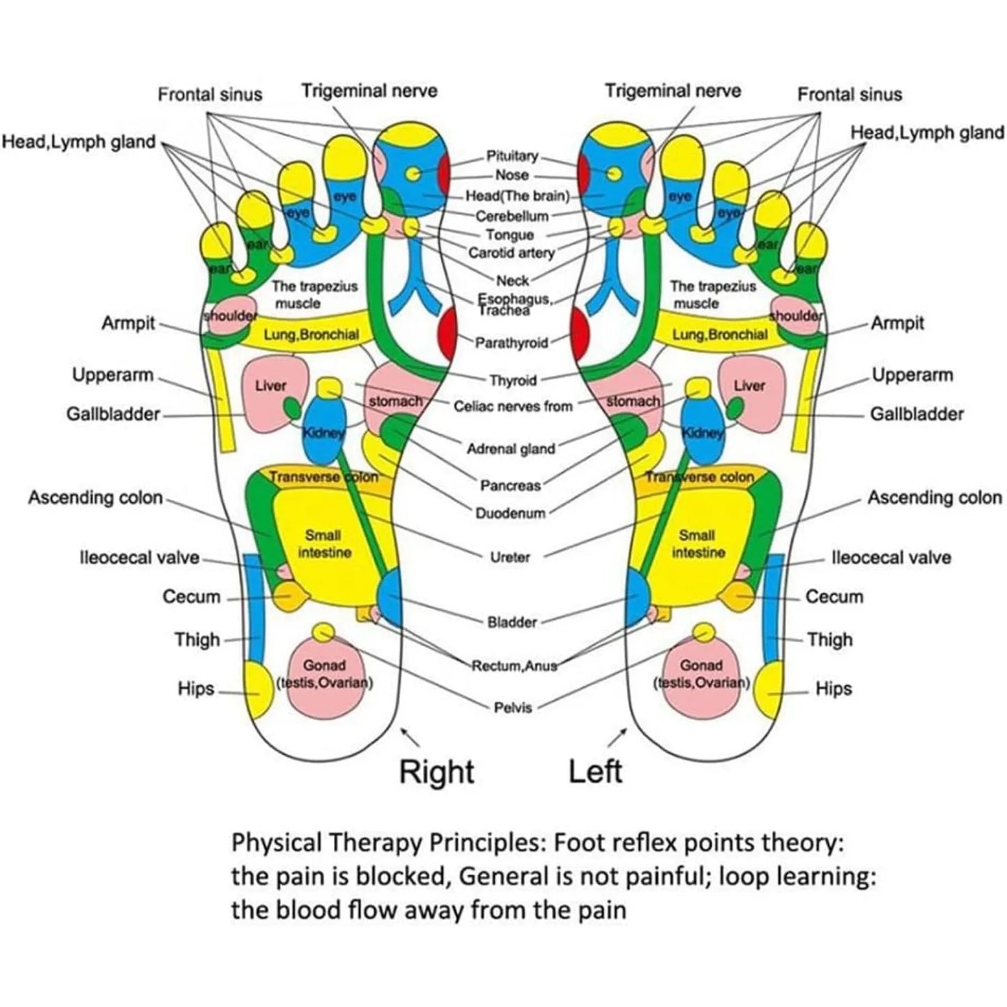 Acupressure Pad Foot Reflexology Massage Pad Health Care Walking Foot Pressure Pad Reflexology Massage Pad Foot Massager
